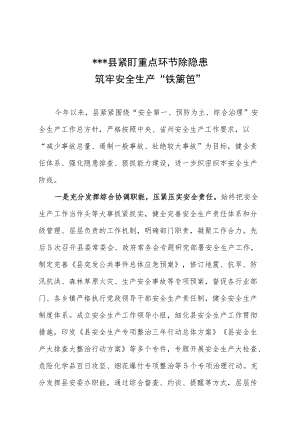 XX县紧盯重点环节除隐患筑牢安全生产“铁篱笆”.docx