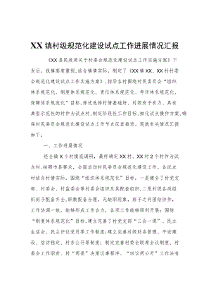 XX镇村级规范化建设试点工作进展情况汇报.docx