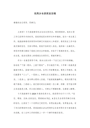 优秀乡长获奖发言稿.docx