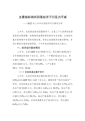 主要指标有所回落经济下行压力不减——2022上半全县经济运行情况分析.docx