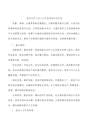 优化化纤工业人才队伍结构行动计划.docx