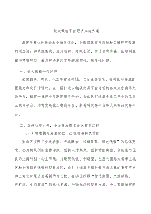 做大做精平台经济实施方案.docx