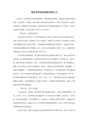 健全协同机制 凝聚巡察合力.docx