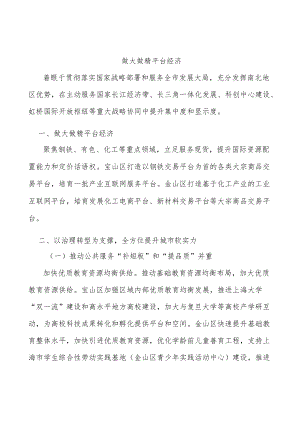 做大做精平台经济.docx
