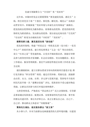 党建引领作用发挥经验交流材料.docx