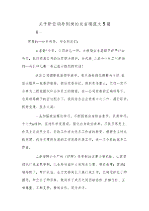 关于新任领导到岗的发言稿范文5篇.docx
