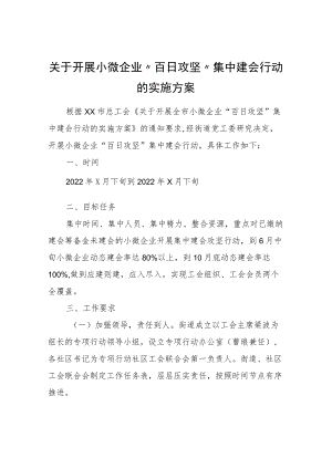 关于开展小微企业“百日攻坚”集中建会行动的实施方案.docx