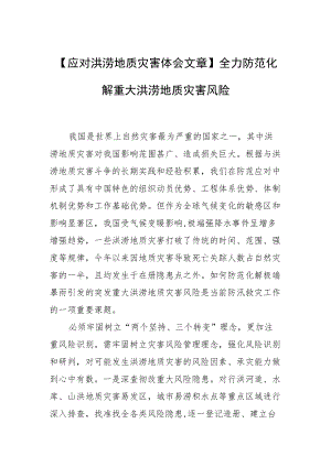 【应对洪涝地质灾害体会文章】全力防范化解重大洪涝地质灾害风险.docx