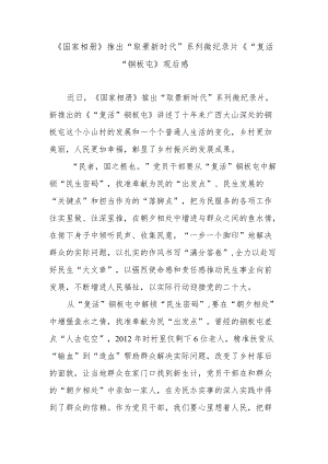 《国家相册》推出“取景新时代”系列微纪录片《“复活”铜板屯》观后感.docx