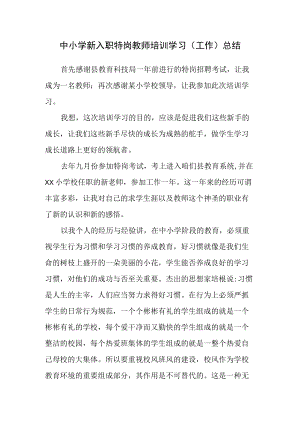 中小学新入职特岗教师培训学习心得体会（工作总结）.docx