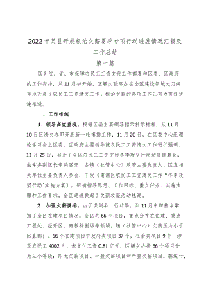 2022某县开展根治欠薪夏季专项行动进展情况汇报及工作总结3篇.docx