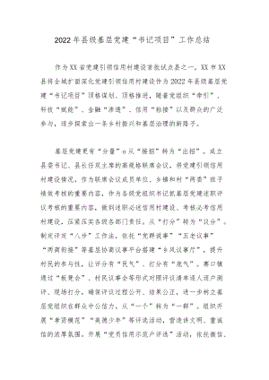 2022县级基层党建“书记项目”工作总结.docx