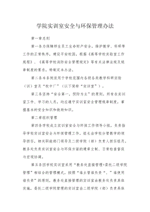 学院实训室安全与环保管理办法.docx
