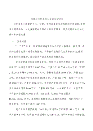 培育壮大饲草龙头企业行动计划.docx