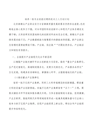 培养一批专业技能过硬的技术工人行动计划.docx