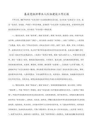 基层党组织带头人队伍建设工作汇报.docx