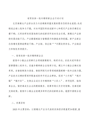 培育扶持一批专精特新企业行动计划.docx