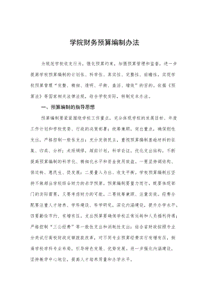 大学学院财务预算编制办法.docx