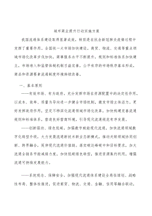 城市商业提升行动实施方案.docx