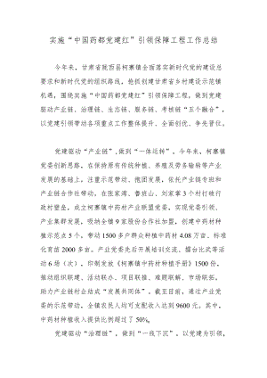 实施“中国药都党建红”引领保障工程工作总结.docx