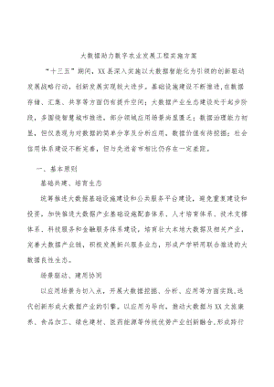 大数据助力数字农业发展工程实施方案.docx