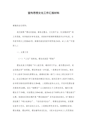 宣传思想文化工作汇报材料.docx