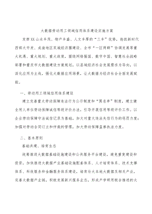 大数据劳动用工领域信用体系建设实施方案.docx