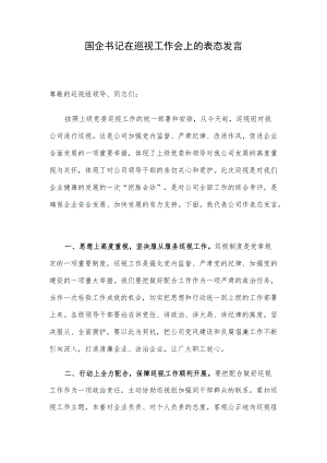 国企书记在巡视工作会上的表态发言.docx
