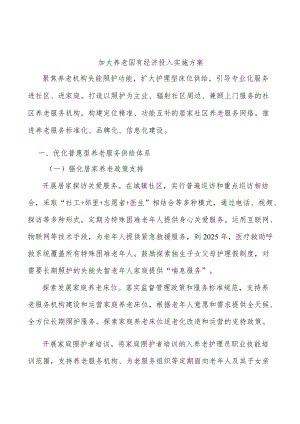 加大养老国有经济投入实施方案.docx