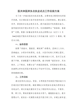 医共体医师多点执业试点工作实施方案.docx