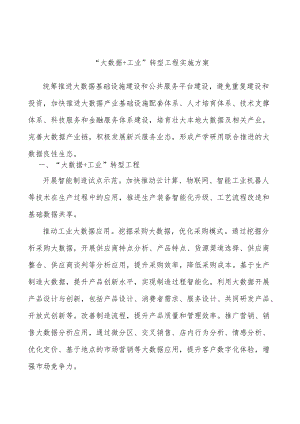 “大数据+工业”转型工程实施方案.docx