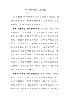 “导师帮带制”工作总结.docx