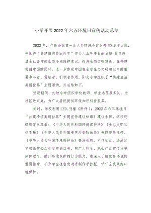小学开展2022六五环境日宣传活动总结.docx