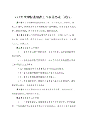 XXXX大学督查督办工作实施办法试行.docx