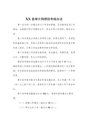 XX县审计局绩效考核办法.docx