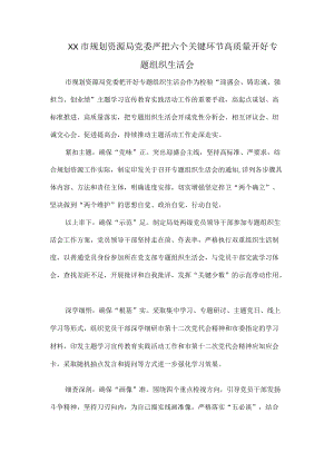 XX市规划资源局党委严把六个关键环节高质量开好专题组织生活会.docx