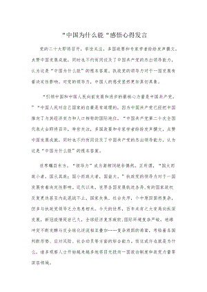 “中国为什么能”感悟心得发言.docx