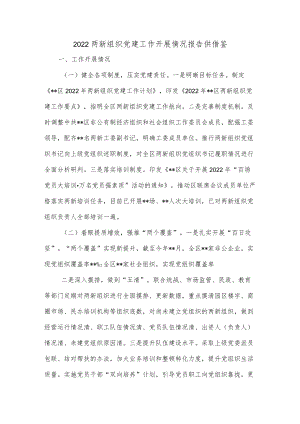 2022两新组织党建工作开展情况报告供借鉴.docx