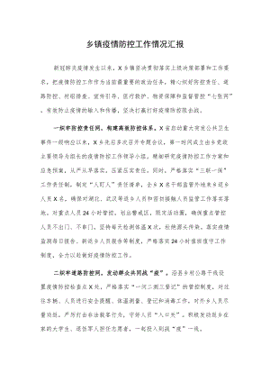 乡镇、村疫情防控工作情况汇报2篇.docx