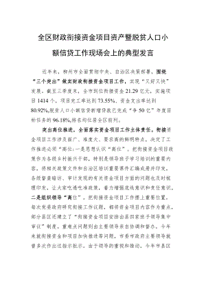 全区财政衔接资金项目资产暨脱贫人口小额信贷工作现场会上的典型发言（20220928）.docx