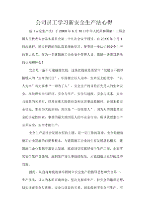 公司员工学习新安全生产法心得.docx