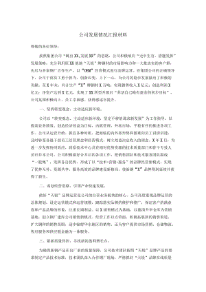 公司发展情况汇报材料.docx