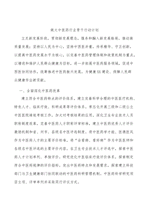 做大中医药行业骨干行动计划.docx