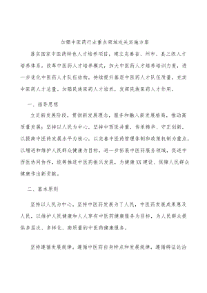 加强中医药行业重点领域攻关实施方案.docx