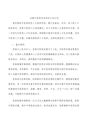 加强中医药传承保护行动计划.docx