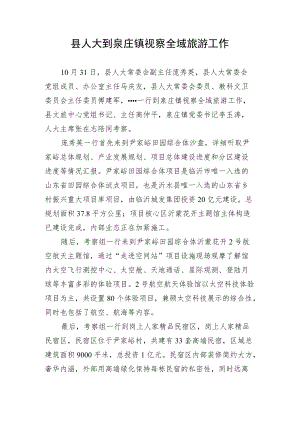 县人大到泉庄镇视察全域旅游工作.docx