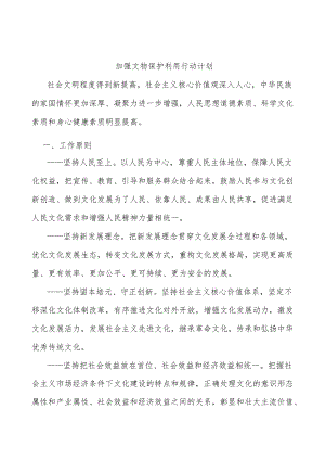 加强文物保护利用行动计划.docx