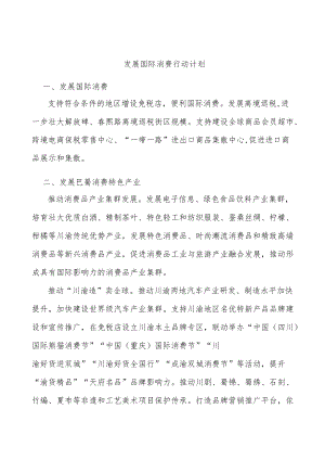 发展国际消费行动计划.docx