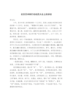 在“百日冲刺行动”动员大会上的讲话.docx