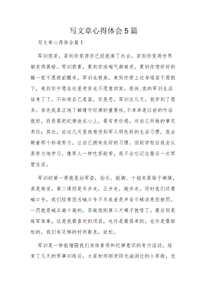 写文章心得体会5篇.docx